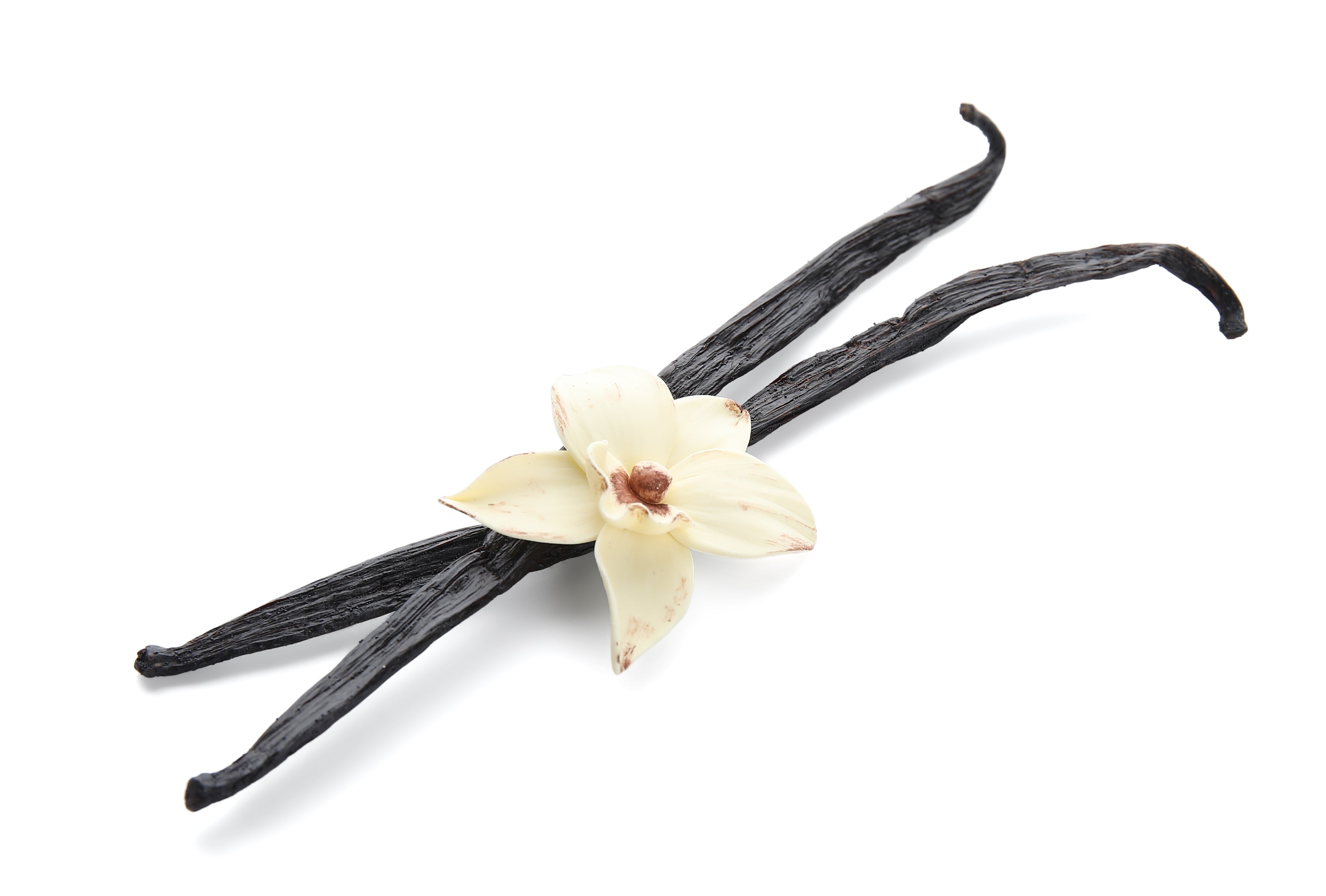 Vanilleschoten aus Madagaskar "Schwarze Vanille"